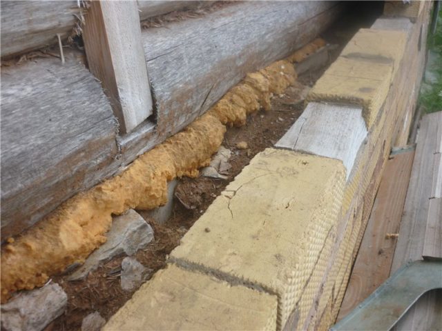 zavalinka-e1492438519944.jpg