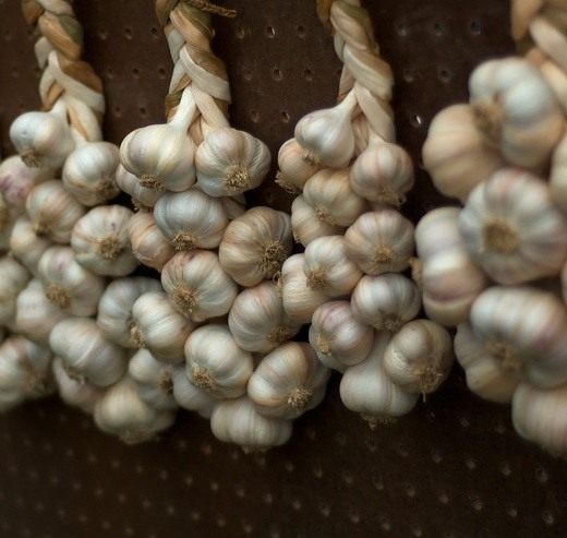 1_garlic.jpg