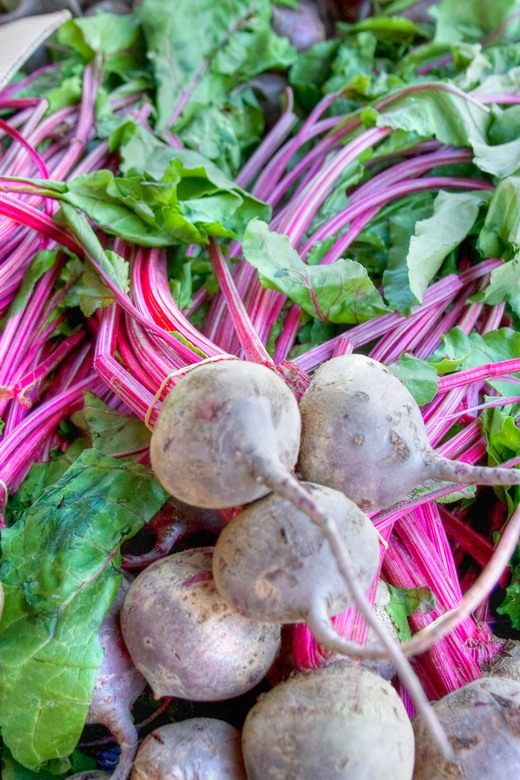 beet-01.jpg