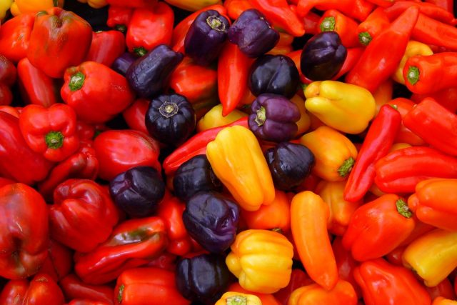capsicum-annuum-3-01-640x427.jpg