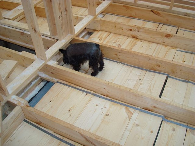 d187d0b5d180d0bdd0bed0b2d0bed0b3d0be-d0bfd0bed0bbd0b0-d0b2-d0b4d0b5.jpeg