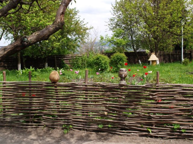 pletionyi-zabor-kak-dekor-e1484311997866.jpg