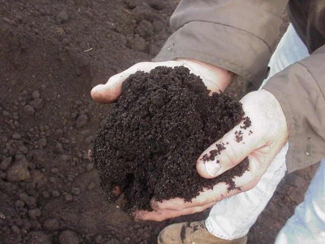compost1-640x480.jpg
