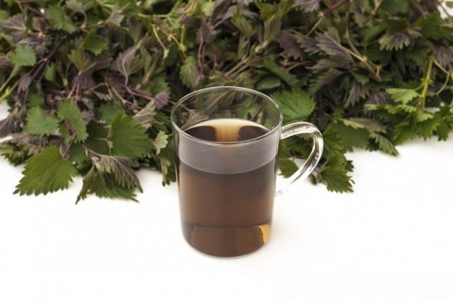 weed-tea-fertilizer-7-640x425.jpg