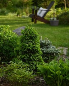 widen_600_crop_1080_1350_0_0_q90_3990162_69ab5d85f49f32f50737ac0d1.jpeg