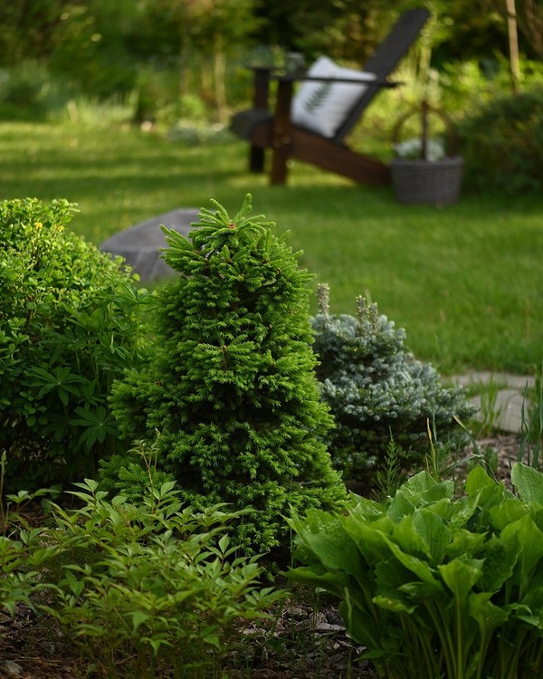 widen_600_crop_1080_1350_0_0_q90_3990162_69ab5d85f49f32f50737ac0d1.jpeg