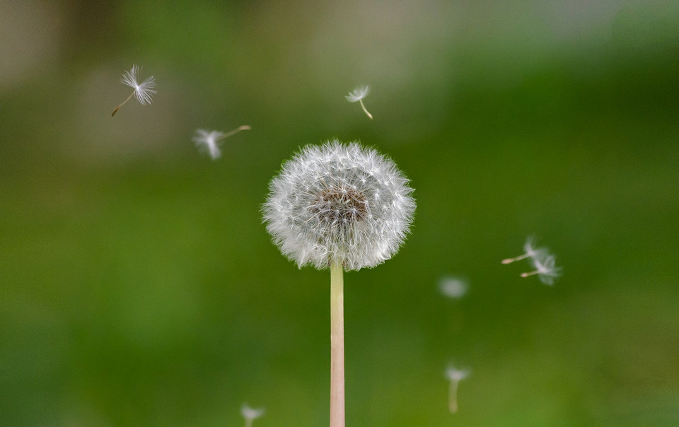 widen_960_crop_1920_1208_0_0_q90_4019002_819c8a306a5cebd01fe427d11.jpeg
