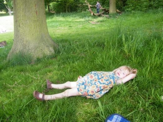 rest-in-the-shade-520x390.jpg
