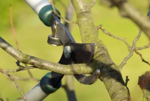 spring-garden-5-640x428.jpg