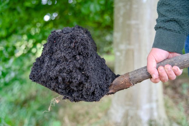 biochar-i-biougol-prostoj-sposob-sdelat-zemlyu-plodorodnoj-2-640x427.jpg