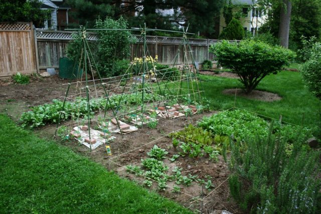 garden-4-02-640x427.jpg