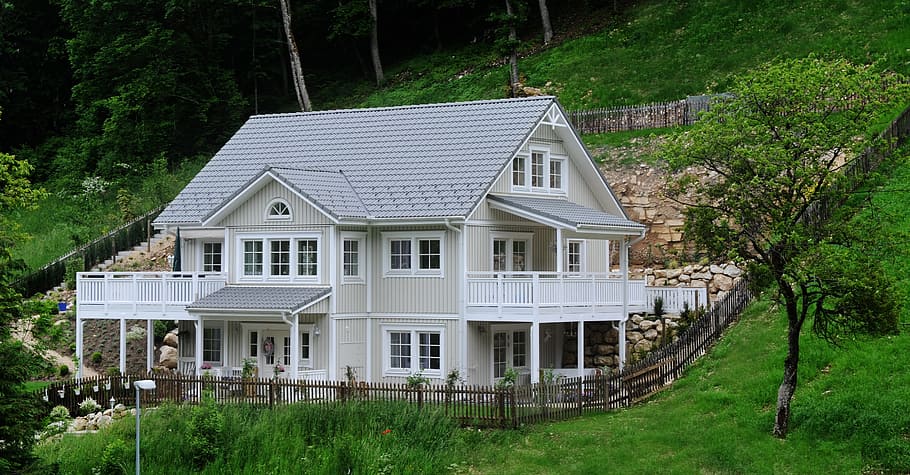 home-wood-rush-family.jpg