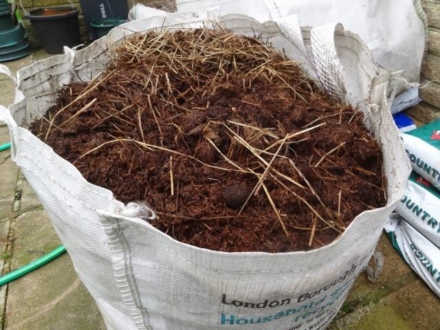 horse-manure-3-640x480.jpg
