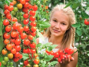 urozhajnye-gibridy-tomatov-dlya-novogo-sezona-1-640x480.jpg