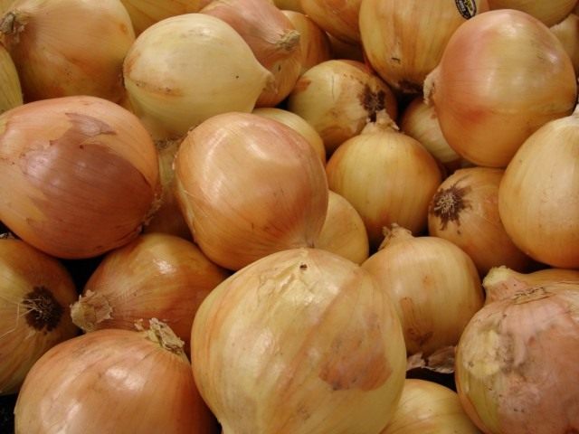allium_cepa-640x480.jpg
