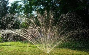 sprinkler-640x392.jpg