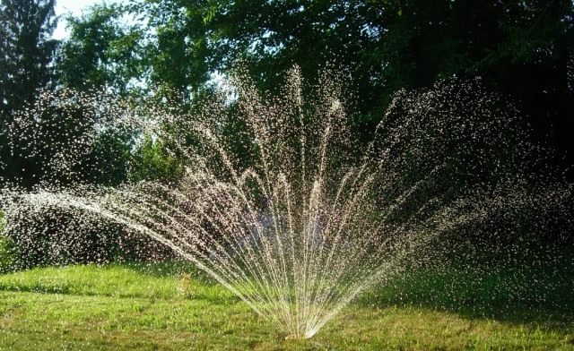 sprinkler-640x392.jpg