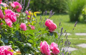 widen_960_crop_1000_638_0_0_q90_4307272_075e663d283e9f5f539efaae8.jpeg
