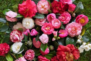 widen_960_crop_1000_667_0_0_q90_4313552_3fb0f3f0adc2cab5726d5b413.jpeg