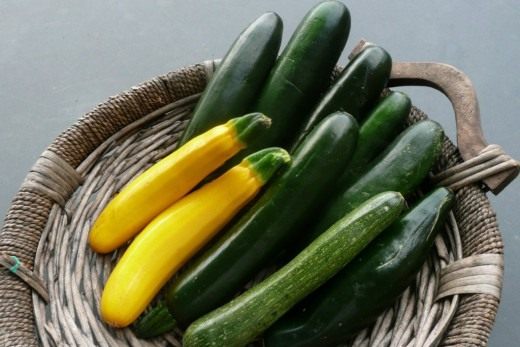 zucchini-520x347.jpg