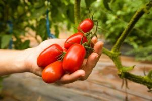 tomato-1-640x427.jpg