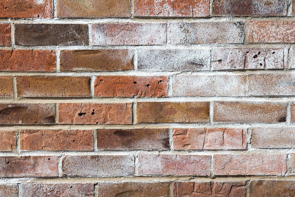 widen_960_crop_1000_667_0_0_q90_4356322_d5f4d07f71835ab77658ac8c0.jpeg