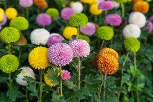 widen_960_crop_1000_668_0_0_q90_4365422_aa63d07c42f786255967aa8eb.jpeg