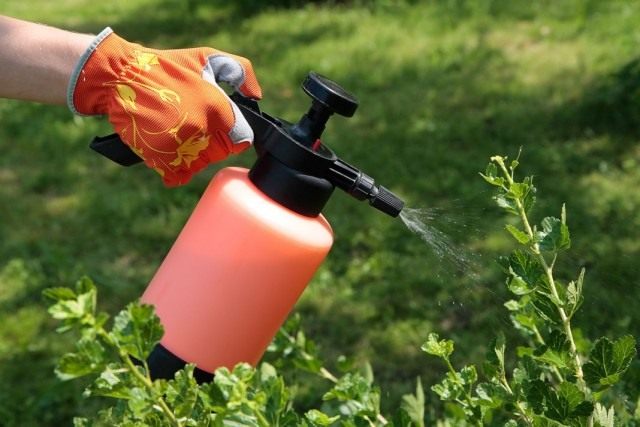 bio-640x427.jpg