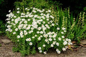 widen_960_crop_1000_667_0_0_q90_4402392_aefa5e444d59d371a47777bfd.jpeg