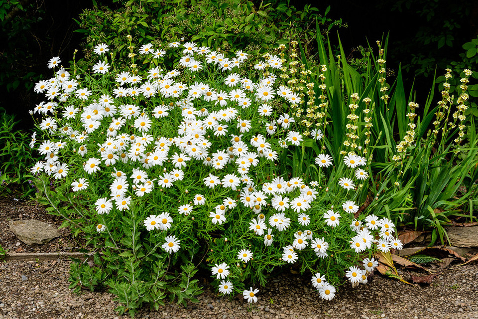 widen_960_crop_1000_667_0_0_q90_4402392_aefa5e444d59d371a47777bfd.jpeg