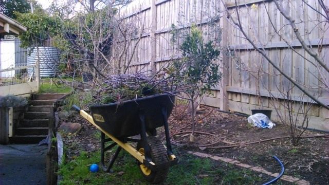 autumn-gardening-1-640x360.jpg