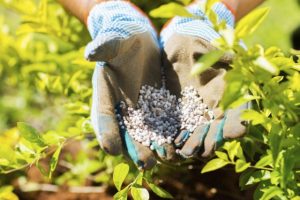damage-fertilizers-4-640x426.jpg