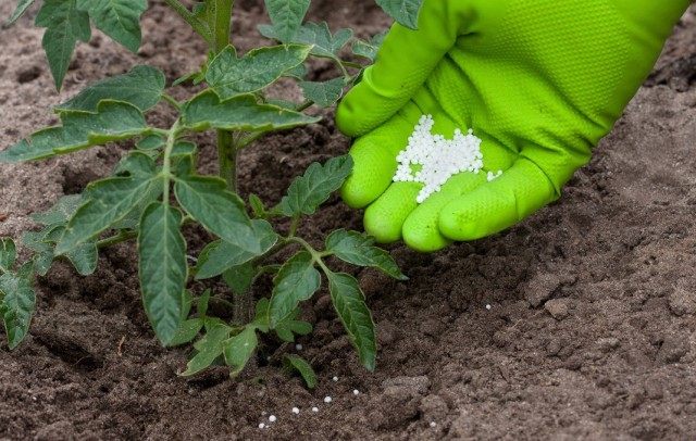 fertiliser-02-640x406.jpg