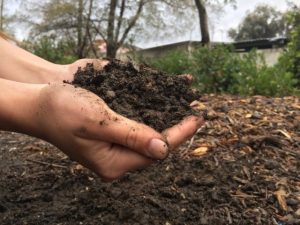fertilizer-garden-2-640x480.jpg