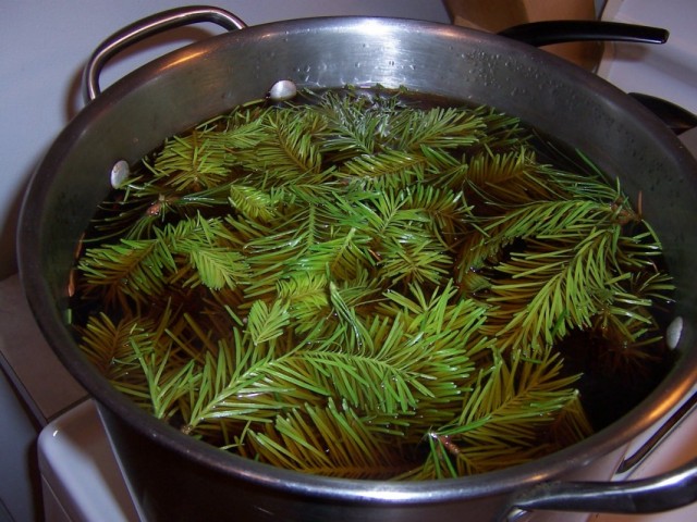 infusion-640x480.jpg