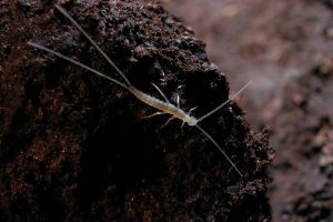 widen_960_crop_1000_668_0_0_q90_4404592_9c4093a0264fd4e1dfce507ce.jpeg