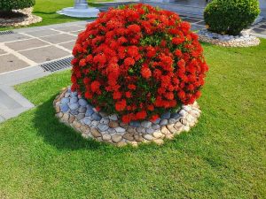 widen_960_crop_1000_750_0_0_q90_4418022_2d3e055e3da834a646d471522.jpeg